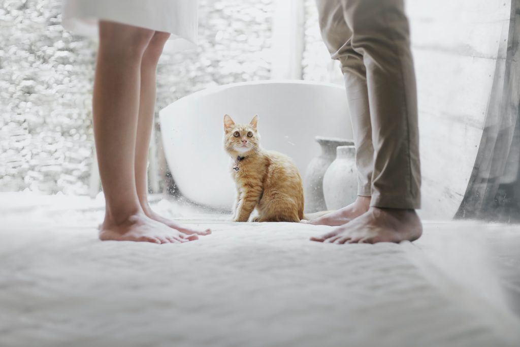 loneliness-in-marriage-couple-with-cat